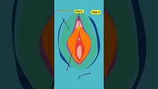 How to check your Vulva 