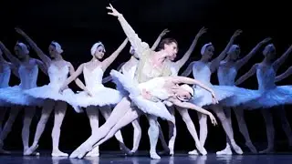 Daria Klimentova & Vadim Muntagirov Swan Lake English National Ballet (& Kremlin Ballet)