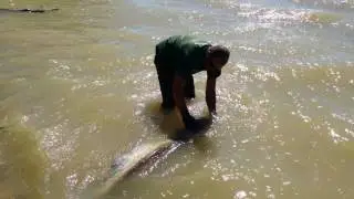 Pescuit la somn,Ebro,Chiprana