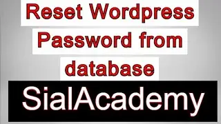 Reset wordpress password from database - how to reset wp pass