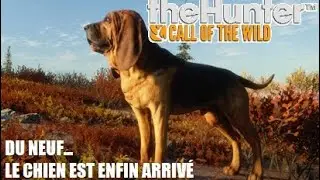 THEHUNTER COTW - ENFIN LE CHIEN