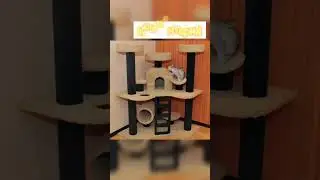 выбери домик для кошки(если есть)