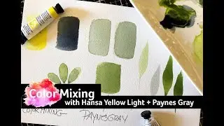Watercolor Mixing with Qor + Daniel Smith Watercolors: Hansa Yellow Light + Paynes Gray