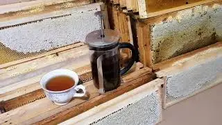 Откачка Меда. Подготовка