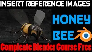 Insert reference images
