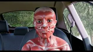 the government took my skin