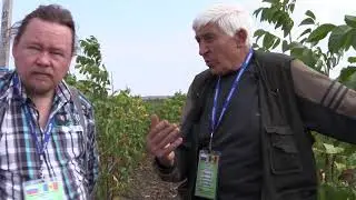 ГРЕЦКИЙ ОРЕХ В РОССИИ. Руководитель питомника 