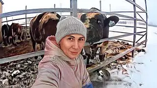 Деревенская жизнь во всей красе! Приготовила сёмгу в аэрогриле!