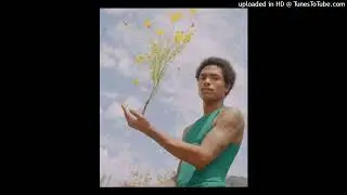 (SOLD) STEVE LACY + FRANK OCEAN TYPE BEAT 