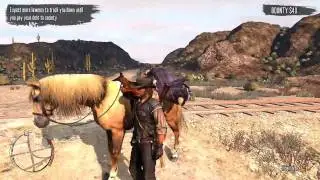 Red Dead Redemption: Secret Achievement 'Dastardly'
