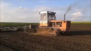 Гусеничный трактор Т-4А культивация