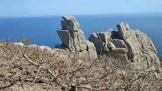 VID 20240414 142819