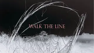 Frank Iero - Walk the Line