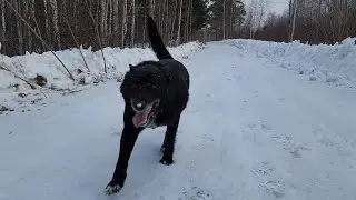 ПРОГУЛКА С ЛЮСЬКОЙ