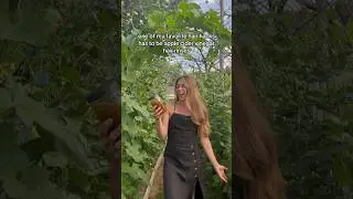 My apple cider vinegar hair rinse with rosemary! 