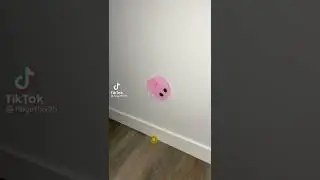 NEW POP IT FIDGET TOYS SIMPLE DIMPLE SATISFYING 