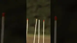 Shooting Matchsticks With A Precision .22LR