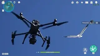 Xianyun's Burst IRL