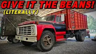 Will this Old Grain Truck RUN & DRIVE in Time for HARVEST!?