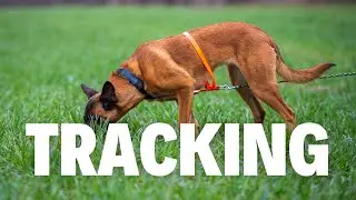 Floyd out on the Town Tracking