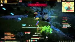Black Desert Online - Lvl41 Ranger Night time Chimera Grinding