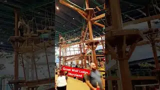 Great Wolf Indoor Water Park  