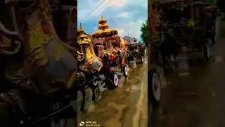 kereta kencana pernikahannya mzdin kencana