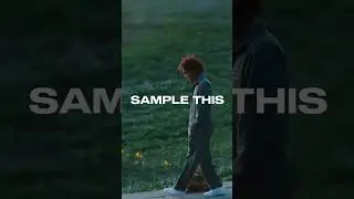 SAMPLE THIS 🔥