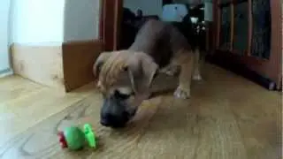 My First GoPro