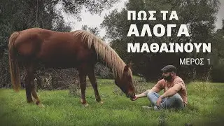ΘΕΩΡΙΑ ΤΗΣ ΜΑΘΗΣΗΣ Ι