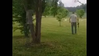 Повезло, что за деревом стоял