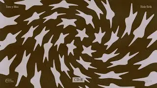 Toro y Moi - CD-R (Official Audio)