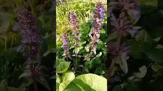 Я хочу на природу 