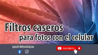 Trucos Fotográficos / Color y Desenfoques