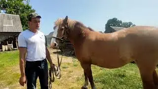 Белорусская,красавица ❤️❤️❤️👍
