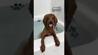 it’s bath time! 