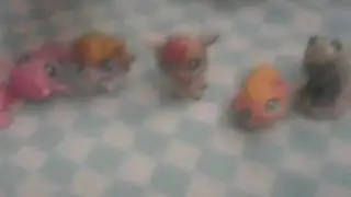 Папирус и санс