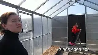 Обработка теплиц перед сезоном