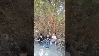 СУККОК заповедная зона в Узбекистане