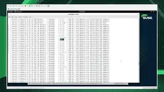 SUSECON 2021 - DEMO 1079 - Incorporating Live Kernel Patching to your patch process - DEMO portion
