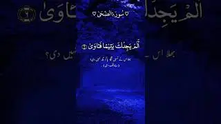 اس خوبصورت تلاوت کو لازمی دے کے 💓💓 #beatifulvoice #king #love #beutifulvoice #explore #pleasesee