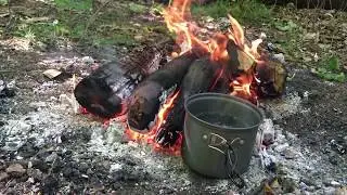 BUSHCRAFT | FOREST |