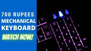 700 Rupees Mechanical Keyboard Review [Hindi/INDIA] [TVS GOLD MECHANICAL KEYBOARD]