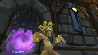 World Of Warcraft  Wotlk Classic ToGC Raid