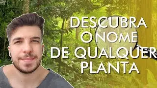 DESCUBRA o nome de TODAS AS PLANTAS