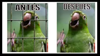 Cómo eliminar objetos en Photoshop fácilmente ¡EN 2 PASOS!