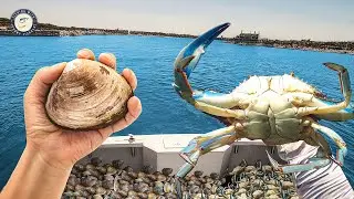 Which Bait CATCHES MORE FISH? Bottom Fishing Tricks!