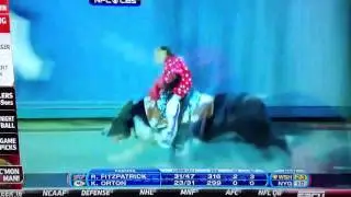 Monkey riding a Dog
