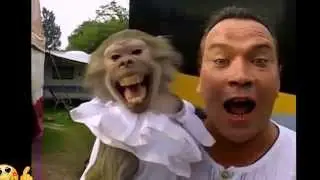 Самые_смешные_приколы_которые_вне_сомнения_улучшат_вам_настроение!