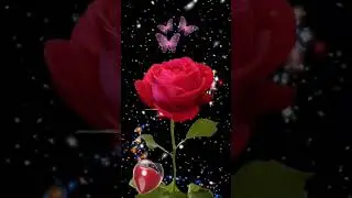 flowers jo dil ko chhu Jaye....